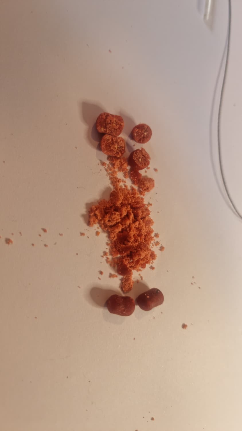 Blaze Squidlets 8mm Dumbbell Feed baits