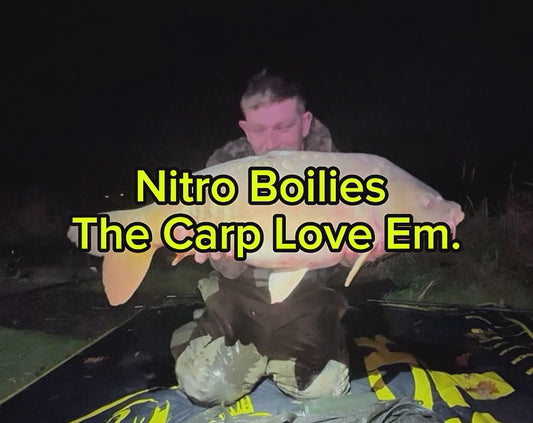 Nitro 15mm Squid and Spicy sausage Boilies